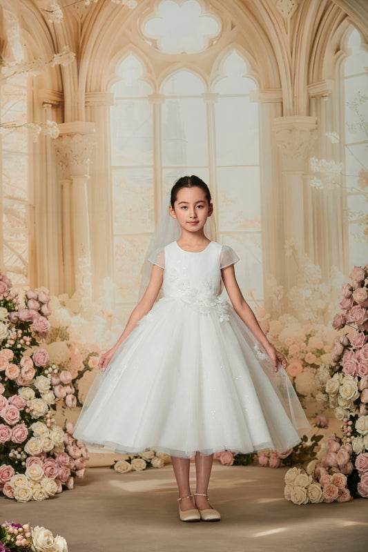 princess daliana flower girl dresses Princess Daliana Pearl Back Flower Girl Dress Grey 2t