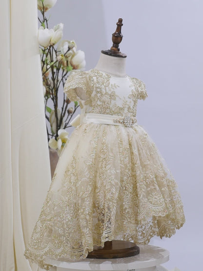 LUXURY RHINESTONE BABY DRESS 1059